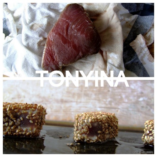 tonyina fresca amb sesam i salsa de soja4