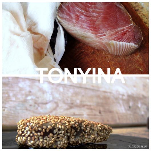 tonyina fresca amb sesam i salsa de soja5