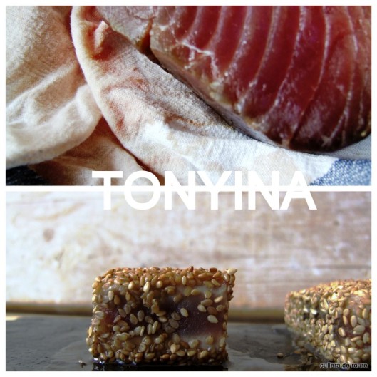 tonyina fresca amb sesam i salsa de soja6